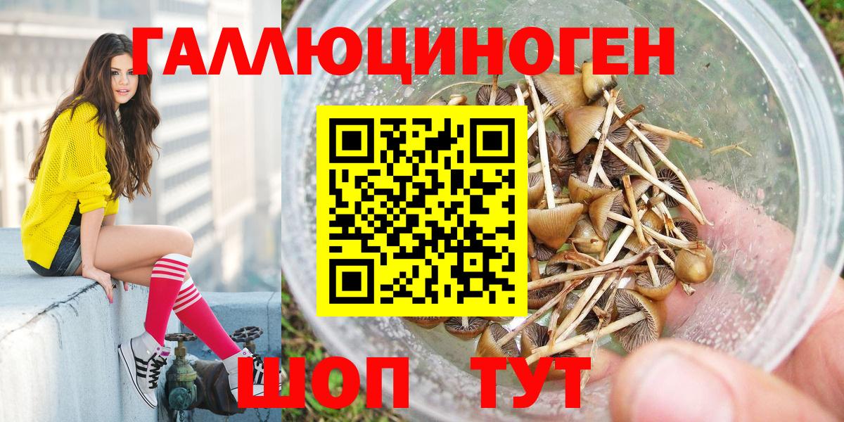 Галлюциногенные грибы GOLDEN TEACHER  Вход с VPN  Тейково 